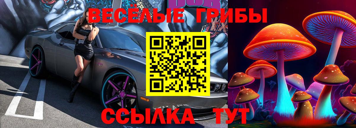 Псилоцибиновые грибы Psilocybe  Галлюциногенные грибы мухоморы  Заводоуковск  Вход с VPN 