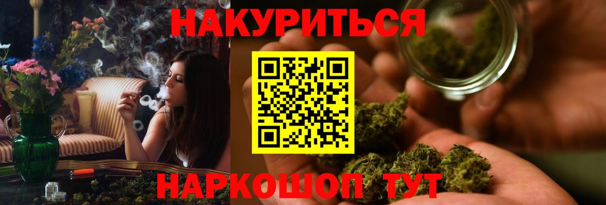 Бошки Шишки планчик Заводоуковск